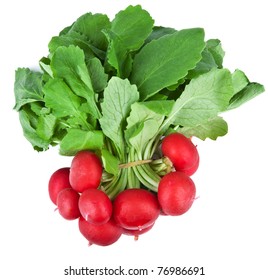 Fresh Radish Isolated