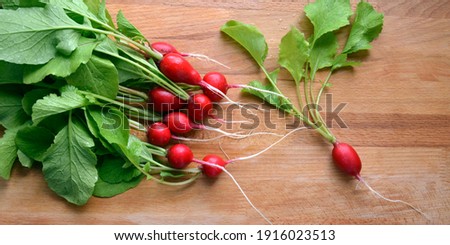 Fresh radish lies on a wooden board. Diet food. Fresh vegetables for making vitamin salad. 