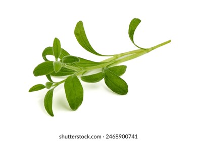 Fresh radish microgreens, isolated on white background - Powered by Shutterstock