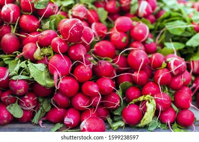 fresh radish on a market