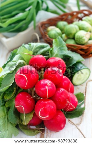 Similar – radish Food Vegetable