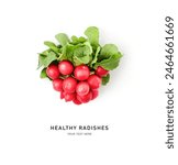 Fresh radishes and leaves bunch isolated on white background. Healthy eating and dieting food concept. Red small delicious radish arrangement. Design element. Top view, flat lay
