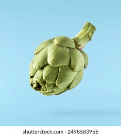 Fresh raw Artichoke falling in the air isolated on blue background. High resolution image