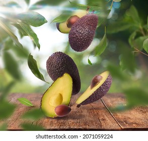 Fresh Raw Avocados Falling In The Air On Wooden Table Over Defocused Bokeh Background. Food Levitation Concept. Zero Gravity Fruit Conception. High Resolution Image