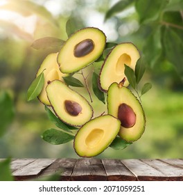 Fresh Raw Avocados Falling In The Air On Wooden Table Over Defocused Bokeh Background. Food Levitation Concept. Zero Gravity Fruit Conception. High Resolution Image