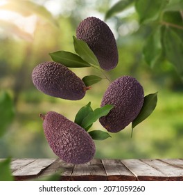 Fresh Raw Avocados Falling In The Air On Wooden Table Over Defocused Bokeh Background. Food Levitation Concept. Zero Gravity Fruit Conception. High Resolution Image