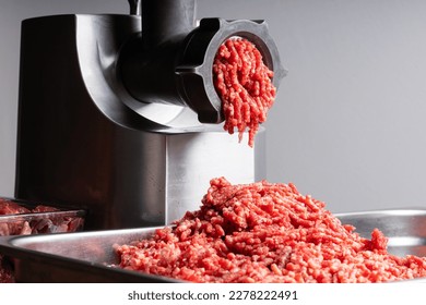 the fresh raw beef meat in the grinder The meat industry the process of cooking minced  at home  the meat is put in the  grinder and minced comes out of it. - Powered by Shutterstock