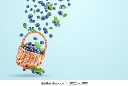 Fresh raw blueberries falling in the air isolated on the yellow background. Food levitation concept. Blueberries in a basket on a blue background.