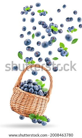 Similar – Hände, die selbstgepflückte Blaubeeren in eine Schüssel sortieren