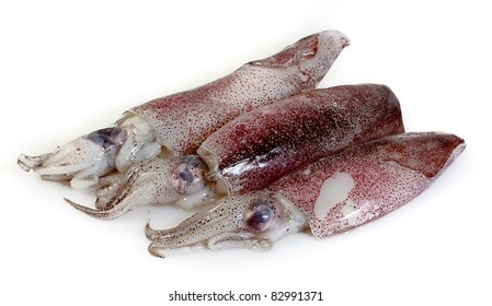 Raw Calamari Hd Stock Images Shutterstock