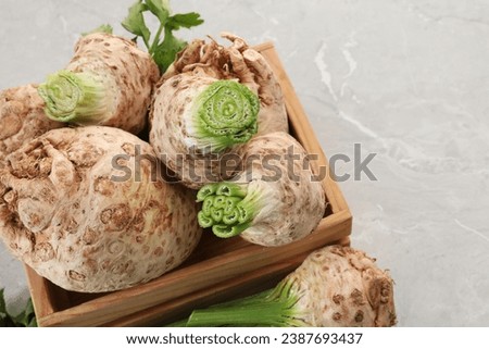 Similar – Image, Stock Photo Roots in the light of a shady forest