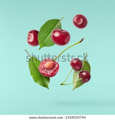 Fresh raw cheery with green leaves falling in the air on turquoise background. Food zero gravity conception. High resolution image