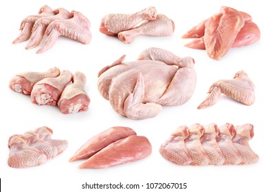 Fresh raw chicken and chicken parts isolated on white background. Breast, wings and legs. With clipping path.