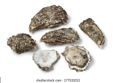 Fresh Raw Closed And Open Pacific Oysters Isolated On White Background