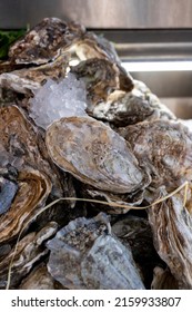 Fresh raw closed oysters seashells for sale on fish market ready to eat