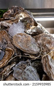 Fresh raw closed oysters seashells for sale on fish market ready to eat