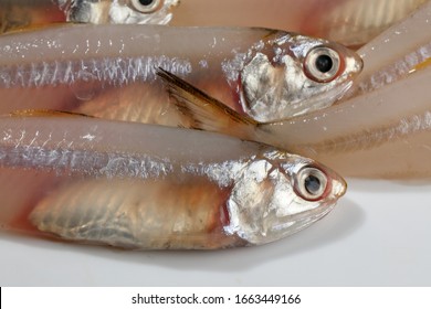 Ikan Kering Images Stock Photos Vectors Shutterstock