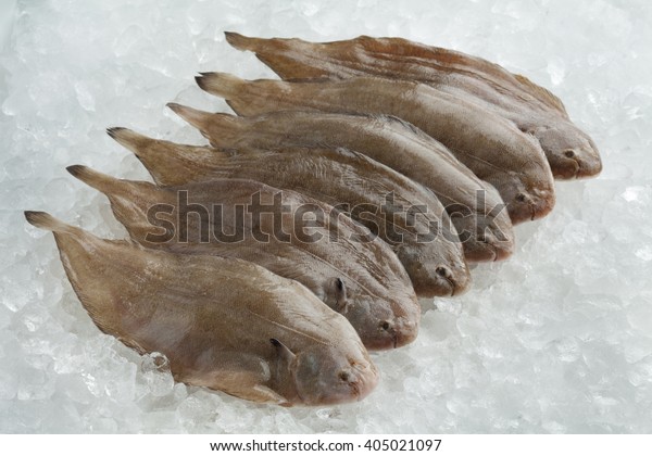 Fresh raw common sole\
fishes on ice