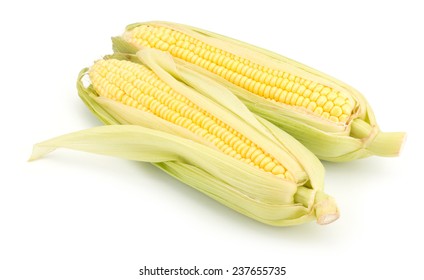 Fresh raw corn cobs isolated on the white background