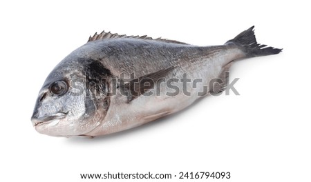 Similar – Image, Stock Photo Raw whole dorado fish on wooden kitchen board and spices for cooking, top view on black table