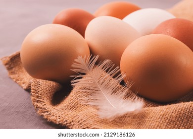 Fresh Raw Eggs, On Beige Fabric, Sunlight, Morning,selective Focus, Horizontal, Close-up, No People,