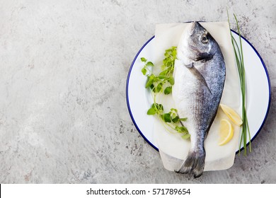 Fresh raw fish, dorado on a plate with herbs and slices of lemon. Grey stone background. Top view. Copy space.