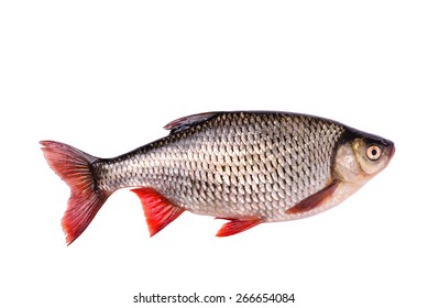 Fresh raw fish isolated on white background with clipping path - Shutterstock ID 266654084