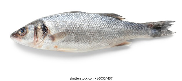 Fresh Raw Fish On White Background