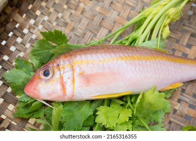 Fresh Raw Fish In Wood Tray Show Ingredients For Sashimi Or Sushi