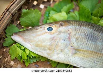 Fresh Raw Fish In Wood Tray Show Ingredients For Sashimi Or Sushi