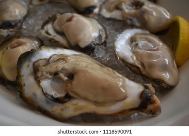 Fresh Raw Gourmet Oysters On Ice From The Chesapeake Bay In Annapolis, MD