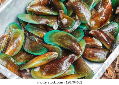 Fresh raw green mussels