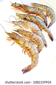 Fresh Raw Gulf Coast Shrimp 