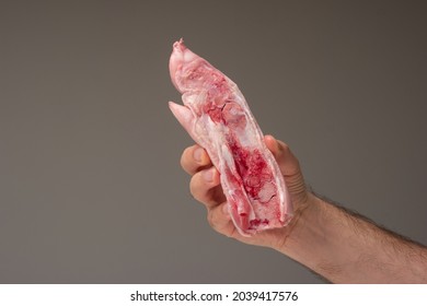 Fresh Raw Halved Pig Feet Held By Man's Hand. Close Up Studio Shot, Isolated On Gray Background.