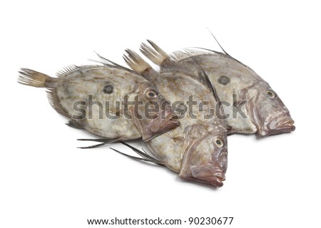 Similar – Image, Stock Photo Raw John Dory fish in metal tray