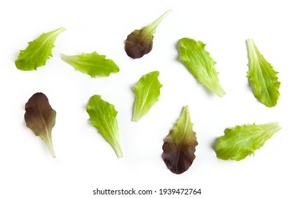 fresh raw lettuce leaves isolated on white background, top view - Powered by Shutterstock