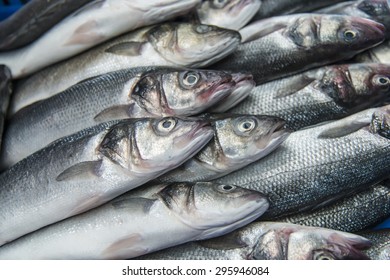 Fresh Raw Mackerel Fish In The Market  