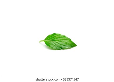 Fresh Raw Mint Leaf Isolated On White Background