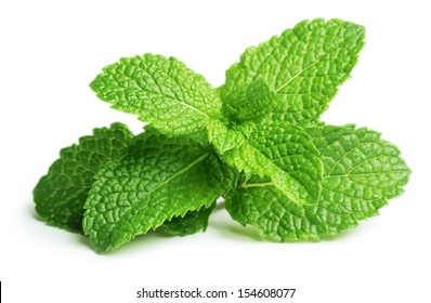 Fresh raw mint leaves isolated on white background - Shutterstock ID 154608077