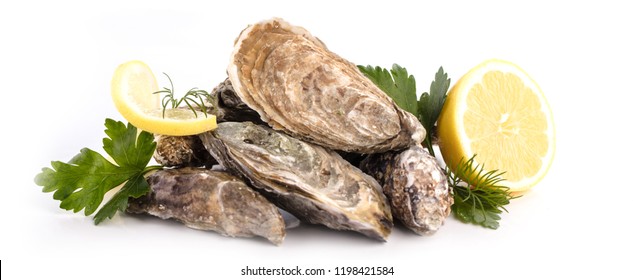 Fresh Raw Oysters And Lemon