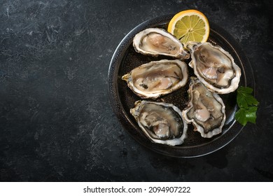 Fresh Raw Oysters Served On A Plate With Lemon Slice And Parsley Garnish, Dark Gray Slate Background, Copy Space, High Angle View From Above