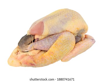 Fresh raw prepared whole Guinea fowl isolated on a white background