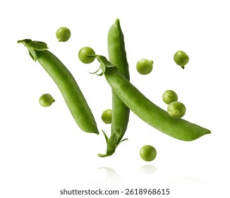 Fresh raw ripe Pods of Green Peas falling in the air isolated on white background. Food levitation or zero gravity conception