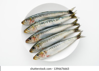 70,151 Sardine Images, Stock Photos & Vectors | Shutterstock