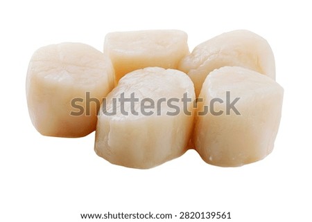 Fresh raw scallops shellfish isolated on white background