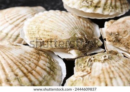 Fresh raw scallops in shells on black table, closeup