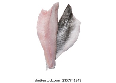 Fresh raw sea bass fillet isolated on a white background