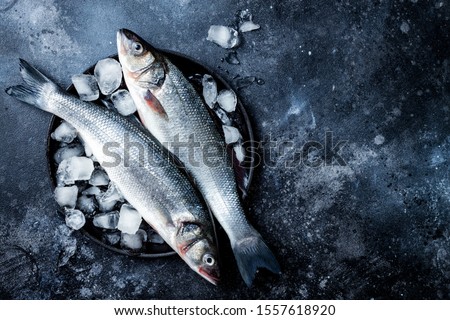 Fresh raw seabass fish on black stone background with ice. Culinary seafood background. Top view, copy space