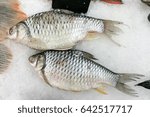Fresh raw Silver barb or Java barb (Cyprinidae) on ice bucket seafood market