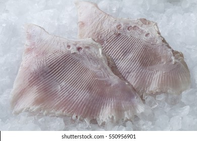 Fresh Raw Skate Fish Wings On Ice